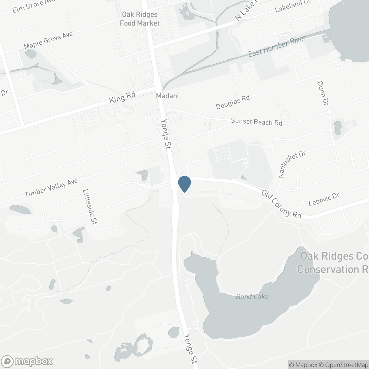 2 - 15 OLD COLONY ROAD, Richmond Hill, Ontario L4E 4L5